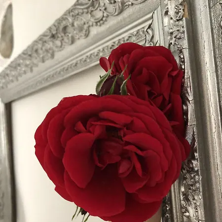 Stecado Il Soppalco - Rifugio Romantico